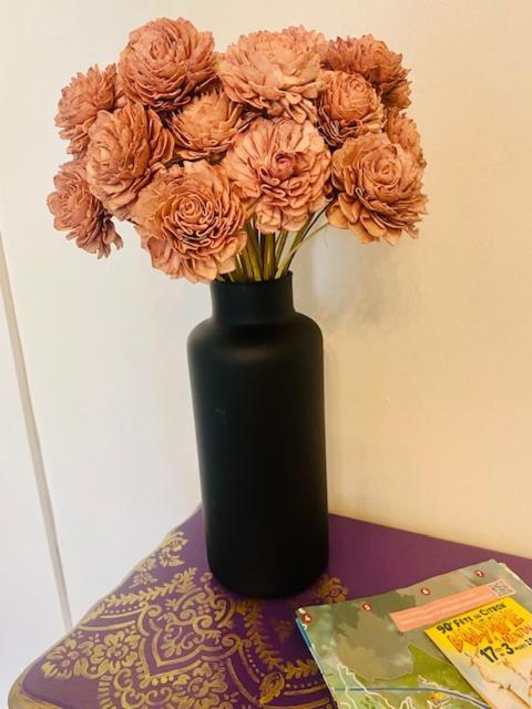 Appartement Les Fleurs Astoria à Menton Extérieur photo